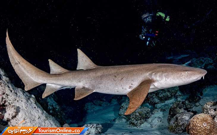 چاله آبی بلیز