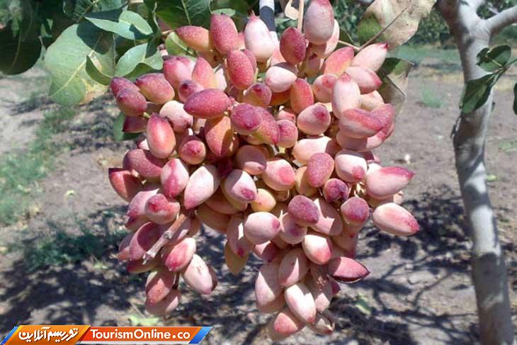 شهر ماه خراسان رضوی