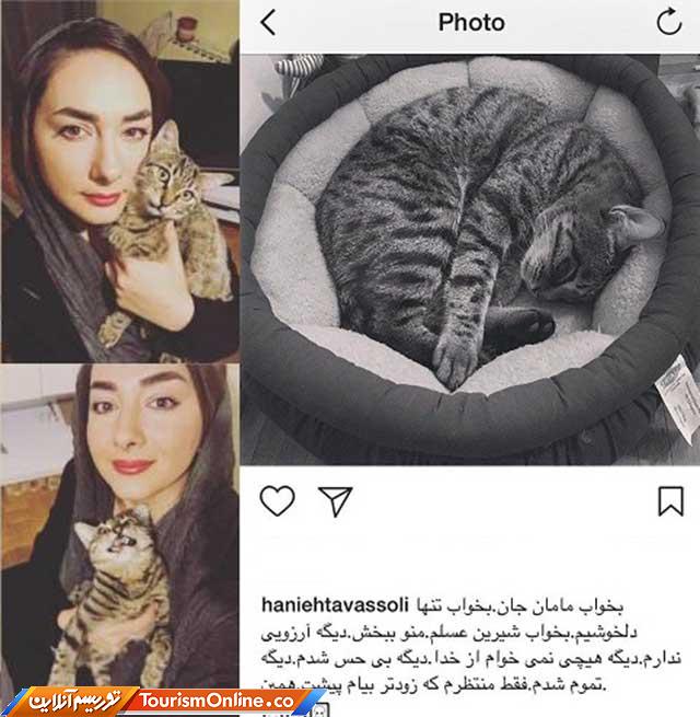 هانیه توسلی