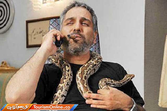 حیوانات خانگی هنرمندان