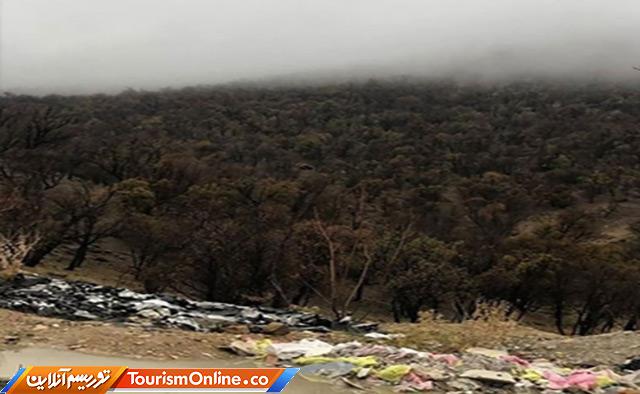 زباله در جنگل