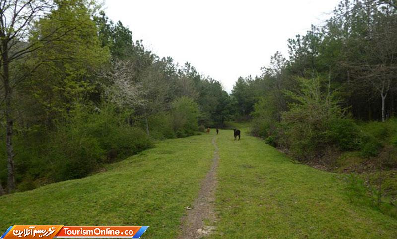 پارک جنگلی بی بی یانلو