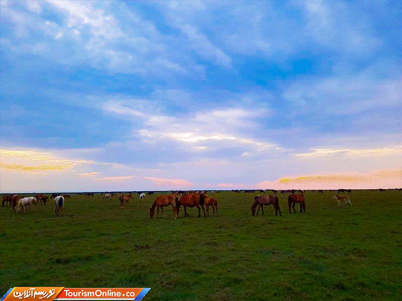 پارک ملی بوجاق