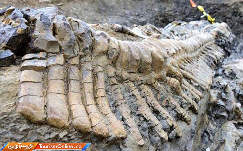 کشف فسیل در مراغه