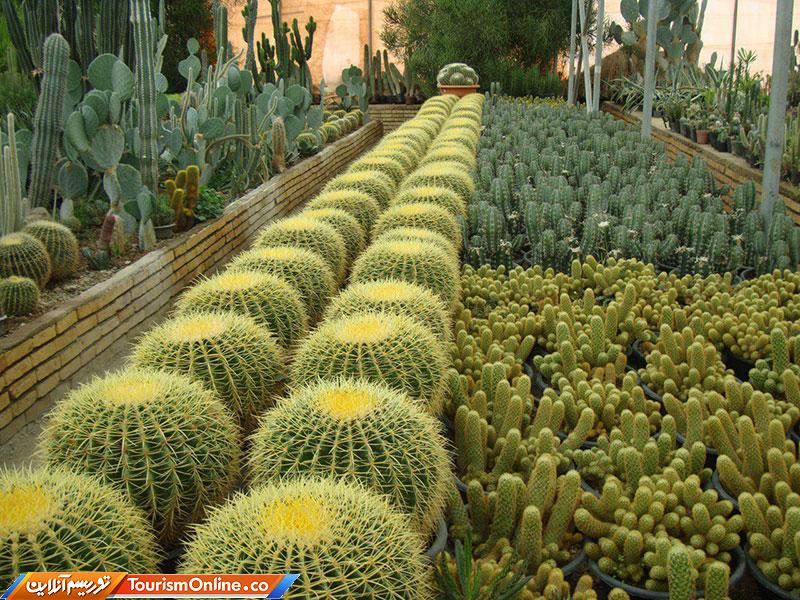 زیبایی های هلند د ایران