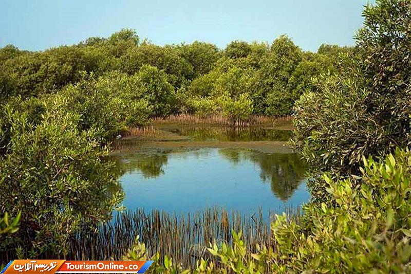 پارک ملی نایبند