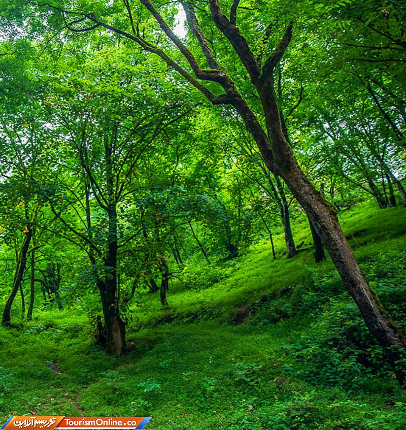 پارک جنگلی رودخان