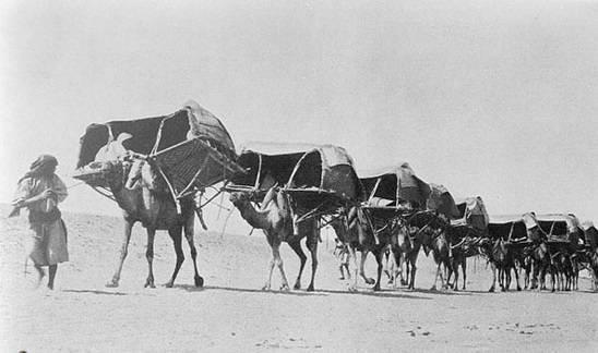 حاج بی‌بی‌ کوکب