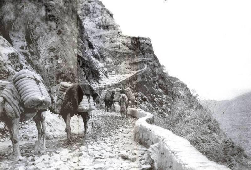 حاج بی‌بی‌ کوکب