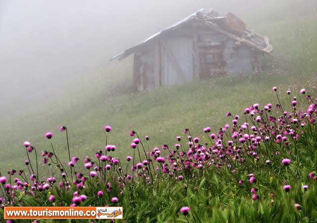 تورهاي یکروزه