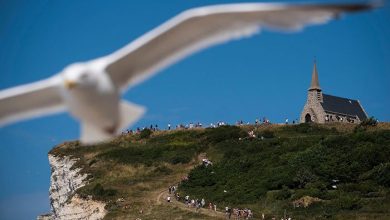 کلیسای جامع نتردام