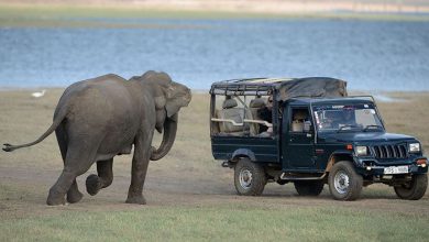 پارک ملی هابارانا