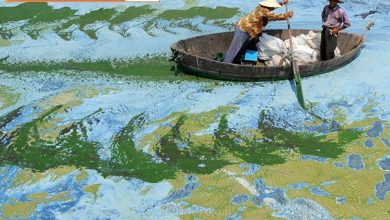 هنر یهویی ، تصادفی! /تصادفی