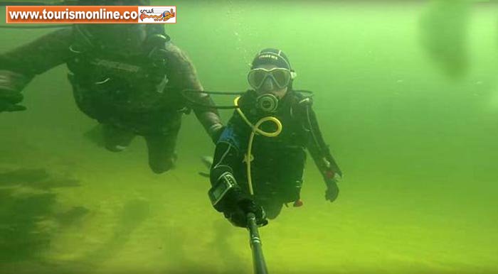 شنا با تمساح