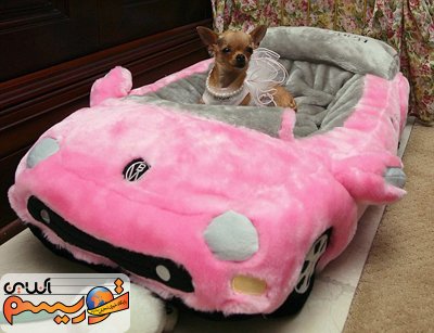 حیوانات پردرآمد