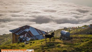 تور یک روزه