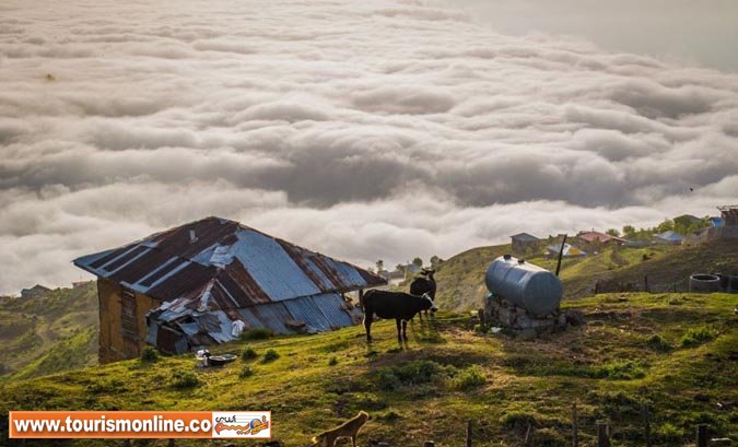 تور یک روزه