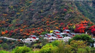 تورهاي ارزان خارجي