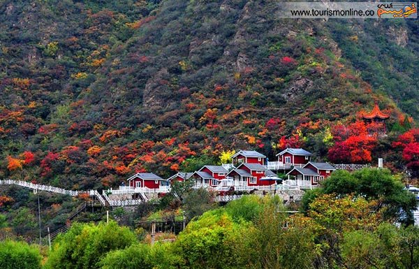 تورهاي ارزان خارجي