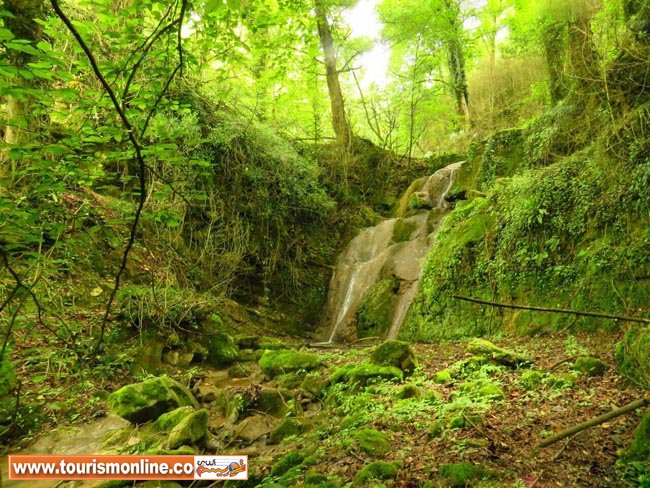 نـرخ تورهاي یکروزه