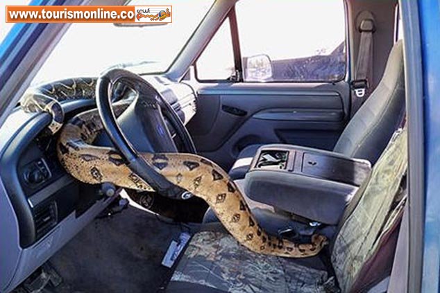 مقابله با دزدی