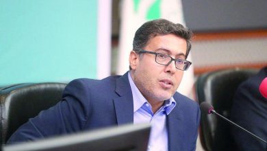 دکتر انصاری لاری