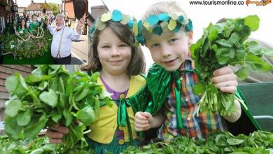 فستیوال غذا