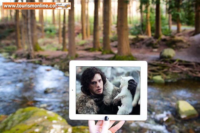 سریال و فیلم