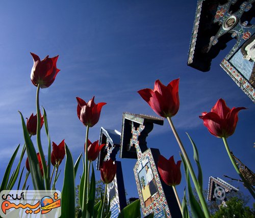 شادترین قبرستان