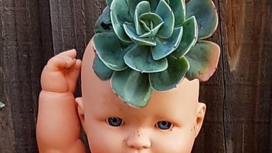 گلدان عروسکی