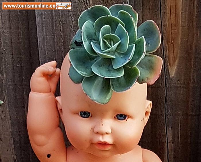 گلدان عروسکی