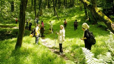 تور مازندران