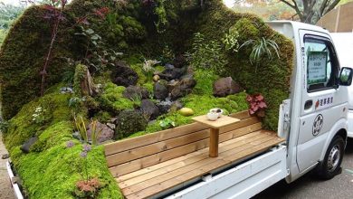 باغ کامیونی