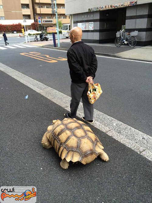 صبــــورترین مـــرد