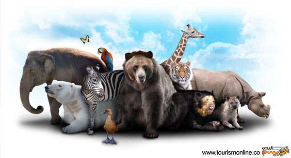 نکاتی جالب درباره جانوران مختلف