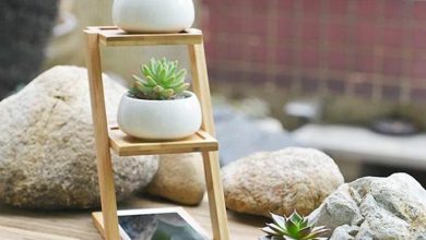 گلدانهای شما