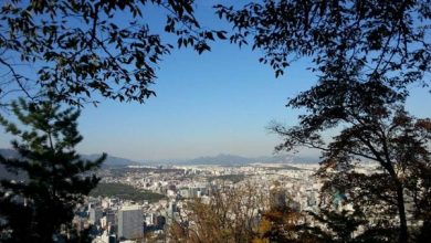 تصاویر:یک نفس عمیق در بام شهر سئول