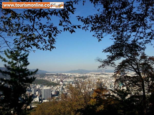 تصاویر:یک نفس عمیق در بام شهر سئول