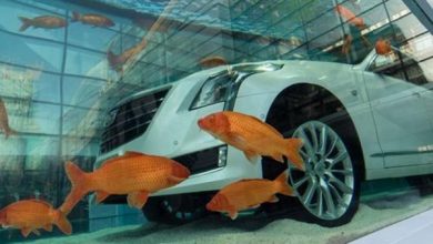 شانگهای چین