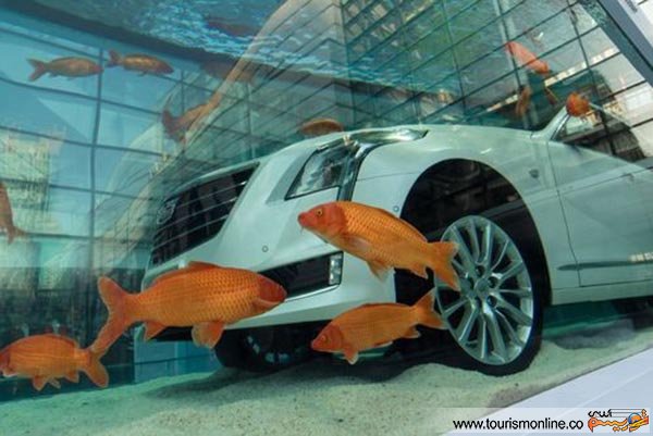 شانگهای چین