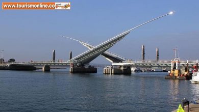 متفاوت ترین پل های جهان