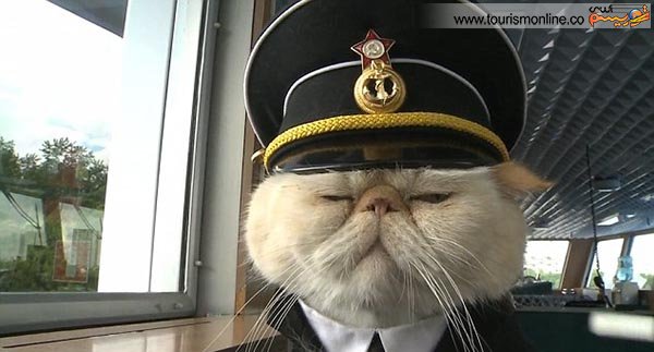 کاپیتان با مزه