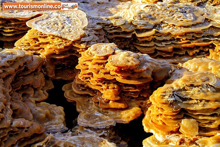 افسردگی داناکیل :صحرای نمک