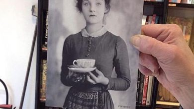 وقتی شبیه جلد کتاب هستیم! /تصاویر