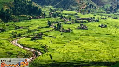 عجیب ترین مناطق مسکونی دنیا