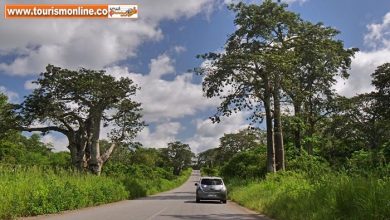 خودروی برقی