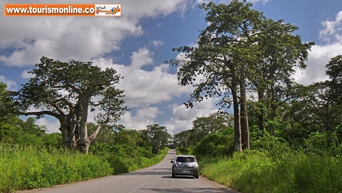 خودروی برقی