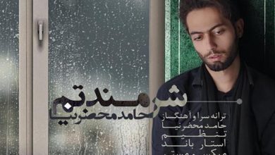 ترانه شرمندتم