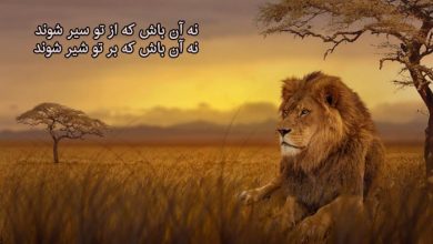 عکس نوشته