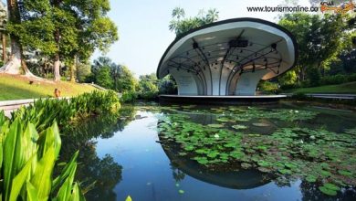 باغ های گیاه شناسی